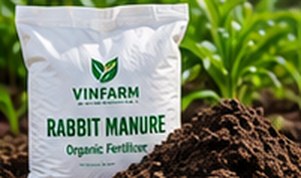Rabbit Manure